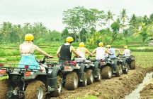 Bali ATV Ride - Quad Biking Adventure