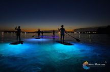 Stand-Up- Paddle Glow Night Tour in Pula