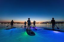 Stand-Up- Paddle Glow Night Tour in Pula