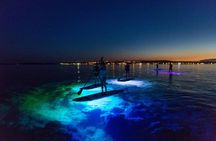 Stand-Up- Paddle Glow Night Tour in Pula
