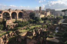 Walking Tour of the Colosseum, Roman Forum and Palatine Hill