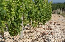 Wine Tour & Tasting (Herzegovina)