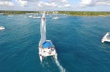 From Punta Cana: Saona Island & Altos de Chavon Day Trip with Lunch and Open Bar