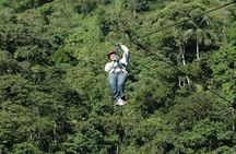 MINDO CLOUD FOREST - Nature & Birds - Personalized Experience