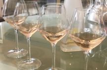 Small-Group Half-Day Châteaux of Montpellier Wine Tour