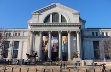 #1 Smithsonian Natural History + American History Museum Tour
