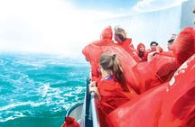 Tour to Niagara Falls from Toronto