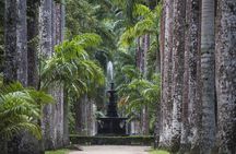 Jeep Tour Botanical Garden and Tijuca Rainforest with Tickets