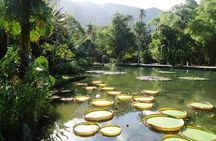 Jeep Tour - Corcovado, Sugar Loaf, Botanic Garden, Tijuca Forest