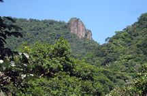 Jeep Tour - Corcovado, Sugar Loaf, Botanic Garden, Tijuca Forest