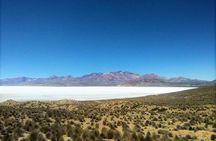 Salinas Salt Lagoon Private tour - Day Trip from Arequipa