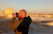 White desert and Bahariya oasis 2 days with camping experience 