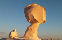 White desert and Bahariya oasis 2 days with camping experience 