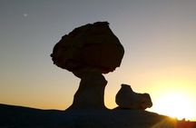 White desert and Bahariya oasis 2 days with camping experience 