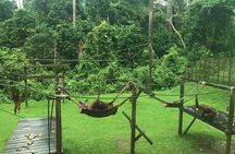 Sepilok Orang Utan & Bornean Sun Bear Centre with Sandakan City Tour with Lunch