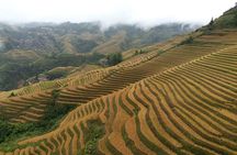 Longji Rice Terraces with the Dazhai Cable Car Private Day Tour