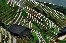 Guilin Reed Flute Cave and Longji Rice Terraces Private Day Tour