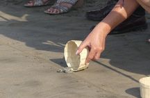 6Hr Cruise or Hotels City Tour, Divers, Baby Turtles Peace Chapel