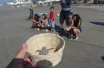 6Hr Cruise or Hotels City Tour, Divers, Baby Turtles Peace Chapel
