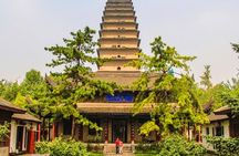 Xi'an Cultural Tour: Highlights of Museums Collection