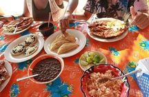  Coyuca Lagoon Countryside Baby Turtle Release Lunch & Boat Ride 