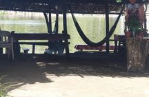  3 Palos Lagoon AfroMex Village Turtle Release & Croc Farm Visit