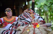 Ubud Village, with Rice Terrace And Waterfall Visit