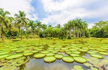 1 Day Xishuangbanna City Tour with Tropical Botanical Garden