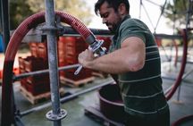 Lake Garda wine tasting: Pinot Noir & tortellini in a Medieval Village