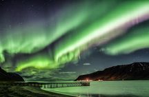 #1 Northern Lights Tour In Iceland from Reykjavik with PRO photos
