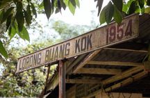 Off the Beaten Track in Singapore: Private City Tour
