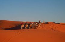 Merzouga Desert Private Tour From Marrakech 3 days and 2 Nights