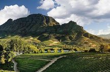 Splendour in the Winelands - Private Tour