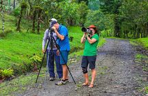 Early Bird Watching Tour - Guanacaste