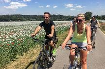 Full-Day Countryside E-Bike Tour to Karlstejn Castle (small group