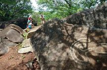 Palma Sola Secrets Petroglyphs Culture & Market Flavors withLunch