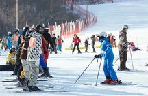 [Private Tour] Nami Island & Ski (Ski Lesson, Equip & Clothing Included)