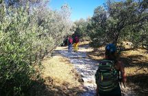 Hills Of Athens Walking Tour