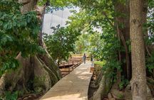 Jamaica Giants sculpture park, art galleries 