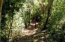 Samara Trails in Werner Sauter Biological Reserve