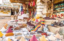 Aswan & Nubia Full Day Tour From Luxor