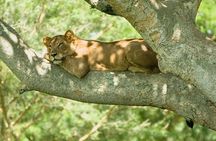 2 Days Safari To Queen Elizabeth National Park with Cruise