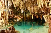Sea Turtle and Cenote Snorkeling Tour