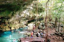 Jungle Buggy Tour from Playa del Carmen Including Cenote Swim