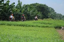 Motorbike Tours Hanoi Led By Women: City & Countryside Half Day
