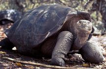 Galapagos Enchanting 3 Islands (5 Days)