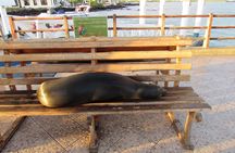 Galapagos Surprising 4 Days