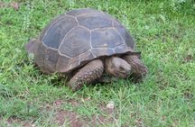 Galapagos Surprising 4 Days