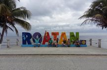 Best of Roatan Shore Excursion