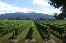 Full-Day Taste the Wines of Marlborough Tour